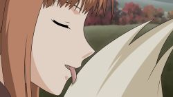 Rule 34 | 00s, 1girl, brown hair, close-up, closed eyes, grass, highres, holo, licking, long hair, outdoors, sexually suggestive, solo, spice and wolf, tail, tongue, wolf, wolf tail