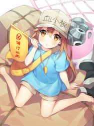 Rule 34 | 10s, 1girl, ayamy, bag, bare legs, barefoot, black footwear, blue shirt, blush, boots, brown shorts, clothes writing, commentary request, flag, flat cap, from above, grey hat, grey shorts, hair between eyes, hat, hataraku saibou, holding, holding flag, long hair, looking at another, looking at viewer, looking up, open mouth, platelet (hataraku saibou), shirt, shoes, short sleeves, shorts, shoulder bag, sitting, solo, toes, unworn boots, unworn shoes, wariza, whistle