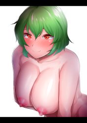 Rule 34 | 1girl, blush, breasts, closed mouth, commentary request, completely nude, green hair, hair between eyes, huge breasts, kazami yuuka, letterboxed, looking at viewer, nipples, nude, red eyes, sadahiro (chicken nugget gyuuniku aji), shiny skin, short hair, simple background, smile, solo, touhou, upper body, white background