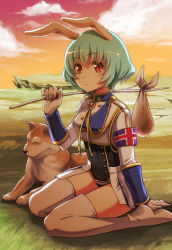 Rule 34 | 07th expansion, 1girl, :&lt;, animal ears, armband, boots, chiester410, chiester sisters, cloud, dog, closed eyes, gloves, green hair, konoe (vis9191), looking at viewer, no naku koro ni (series), orange sky, outdoors, over shoulder, rabbit ears, red eyes, sack, short hair, sitting, sky, solo, stick, sunset, thigh boots, thighhighs, umineko no naku koro ni, uniform, wariza, white gloves, white thighhighs