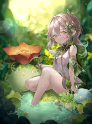 Rule 34 | 1girl, absurdres, ass, bare legs, blurry, blurry background, bokeh, commentary, depth of field, detached sleeves, dress, english commentary, flower, forest, genshin impact, grass, green eyes, grey hair, hair between eyes, hair ornament, highres, long hair, looking at viewer, nahida (genshin impact), nature, pengrani, plant, pointy ears, short sleeves, side ponytail, sidelocks, sitting, sleeveless, sleeveless dress, slime (genshin impact), smile, soaking feet, symbol-shaped pupils, thighs, water, white dress