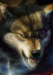 Rule 34 | akio (artist), angry, animal, dog, fangs, no humans, scowl, snarl, solo, tongue, wolf, yellow eyes