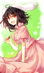 Rule 34 | 1girl, animal ears, black hair, carrot, dress, inaba tewi, jewelry, kutsuki kai, looking at viewer, necklace, open mouth, pendant, pink dress, puffy short sleeves, puffy sleeves, rabbit ears, rabbit girl, rabbit tail, red eyes, short sleeves, smile, solo, tail, touhou
