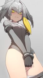 Rule 34 | 10s, 1girl, black gloves, clothes pull, commentary request, covering crotch, covering privates, cowboy shot, doremi (doremi4704), fingerless gloves, gloves, grey background, grey hair, grey shirt, head wings, kemono friends, korean commentary, layered sleeves, long sleeves, looking at viewer, low ponytail, medium hair, necktie, panties, pants, pants pull, panty pull, shirt, shoebill (kemono friends), short over long sleeves, short sleeves, side ponytail, simple background, solo, underwear, wings, yellow eyes