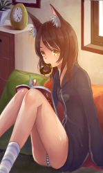 Rule 34 | 1girl, animal ears, bichon168, book, brown eyes, brown hair, chest of drawers, clock, cushion, doughnut, food, food in mouth, fox ears, heart, heart print, indoors, jacket, legs, light particles, long hair, long sleeves, looking at viewer, open book, original, panties, pantyshot, picture frame, plant, potted plant, sitting, socks, solo, striped clothes, striped panties, striped socks, underwear, window, yellow eyes, zipper