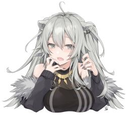Rule 34 | 1girl, ahoge, animal ears, bare shoulders, blush, breasts, cleavage, commentary request, fang, grey eyes, grey hair, hair between eyes, highres, hololive, large breasts, lion ears, lion girl, long hair, long sleeves, looking at viewer, nail polish, open mouth, saku2621, see-through, see-through cleavage, shishiro botan, shishiro botan (1st costume), simple background, solo, tongue, upper body, virtual youtuber, white background