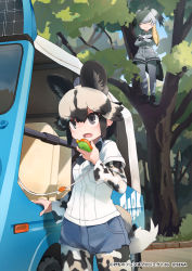 Rule 34 | 2girls, african wild dog (kemono friends), african wild dog print, animal ear fluff, animal ears, bad id, bad twitter id, bird girl, bird tail, bird wings, black hair, black neckwear, blonde hair, bow, bowtie, brown eyes, collared shirt, commentary request, copyright notice, crossed arms, day, denim, denim shorts, dog ears, dog tail, elbow gloves, gloves, grey gloves, grey hair, grey legwear, grey neckwear, grey shirt, grey shorts, hair tie, head wings, kemono friends, kemono friends 3, layered sleeves, long sleeves, motor vehicle, multicolored hair, multiple girls, necktie, official art, outdoors, pantyhose, print legwear, print sleeves, saltlaver, shirt, shoebill (kemono friends), short hair, short over long sleeves, short shorts, short sleeves, shorts, tail, tree, uniform, v-shaped eyebrows, van, walkie-talkie, white shirt, wings