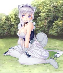Rule 34 | 1girl, animal ears, animal hands, apron, azur lane, belfast (azur lane), bone, breasts, cleavage, collar, day, dog ears, dog tail, frilled apron, frills, gloves, large breasts, looking at viewer, maid apron, maid headdress, mouth hold, outdoors, pantyhose, paw gloves, purple eyes, silver hair, solo, tail, white apron, white pantyhose, yamaishi nohi