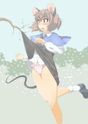 Rule 34 | 1girl, animal ears, bare legs, black dress, blush, bobby socks, brown eyes, capelet, clothes lift, commentary request, dress, dress lift, dress shirt, eyebrows, frills, grey hair, highres, long sleeves, mepikari, mouse ears, mouse tail, nazrin, panties, pantyshot, pink panties, shirt, short hair, socks, solo, surprised, tail, thick eyebrows, touhou, underwear