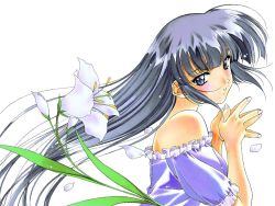 Rule 34 | 1990s (style), 1girl, ayasaki wakana, bare shoulders, black hair, blue eyes, blunt bangs, blush, fingernails, fingers together, flower, frilled sleeves, frills, from side, kai tomohisa, lily (flower), long hair, petals, retro artstyle, sentimental graffiti, short sleeves, simple background, solo, upper body, very long hair, white background
