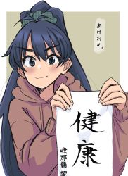 Rule 34 | 1girl, anjerain, blue hair, blush, brown hoodie, fang, fang out, ganaha hibiki, highres, holding, holding paper, hood, hoodie, idolmaster, idolmaster (classic), looking at viewer, paper, ponytail, scrunchie, smile, solo, v-shaped eyebrows