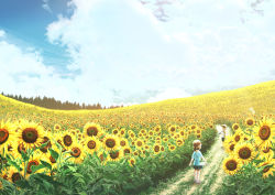 Rule 34 | child, cloud, cloudy sky, day, field, flower, flower field, highres, kun52, original, path, road, sky, solo, standing, sunflower, sunflower field, tree