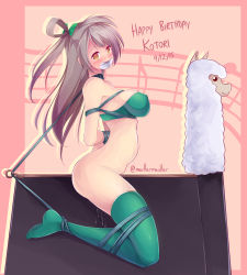 Rule 34 | 10s, 1girl, alpaca, bdsm, blush, bondage, bottomless, bound, bra, breasts, brown eyes, collar, covered erect nipples, female focus, frogtie, full-face blush, gag, gagged, green bra, green thighhighs, hair ribbon, hair rings, happy birthday, highres, improvised gag, large breasts, leash, love live!, love live! school idol project, maullarmaullar, minami kotori, one side up, pussy juice, ribbon, rope, shibari, silver hair, simple background, solo, strapless, strapless bra, striped, striped background, tape, tape gag, thighhighs, underwear, wooden horse
