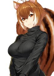 Rule 34 | 1girl, :3, absurdres, animal ears, antenna hair, blazblue, breasts, brown eyes, brown hair, hair between eyes, has bad revision, has downscaled revision, highres, large breasts, looking at viewer, makoto nanaya, md5 mismatch, purinnssu, resolution mismatch, ribbed sweater, short hair, simple background, smile, solo, source smaller, squirrel ears, squirrel tail, sweater, tail, turtleneck, turtleneck sweater, white background