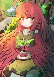 Rule 34 | 1girl, absurdres, ahoge, animal ears, bird ears, blush, brown eyes, brown tank top, coco (eogks), commentary, feathers, harpy, highres, holding, holding plant, long hair, looking at viewer, midriff, monster girl, moss, mushroom, nn (eogks), original, outdoors, plant, potted plant, red feathers, red hair, skit, solo, tank top, tree, very long hair, winged arms, wings