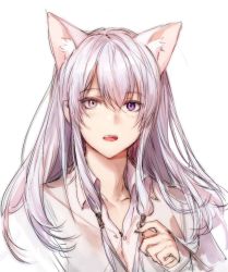 Rule 34 | 1girl, androgynous, animal ear fluff, animal ears, blush, cat ears, collarbone, collared shirt, commentary request, copyright request, dress shirt, grey shirt, hair between eyes, long hair, long sleeves, looking at viewer, open mouth, pink eyes, purple eyes, shirt, simple background, sketch, solo, tanu0706, teeth, upper body, upper teeth only, white background