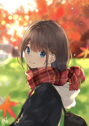 Rule 34 | 1girl, backpack, bag, blue eyes, blurry, blurry background, blush, bokeh, brown hair, closed mouth, commentary, day, depth of field, falling leaves, fringe trim, from side, hair ornament, hairclip, hood, hood down, leaf, long sleeves, looking at viewer, looking to the side, maple leaf, miko fly, original, outdoors, plaid, plaid scarf, red scarf, scarf, short hair, signature, smile, solo, sunlight, upper body, x hair ornament