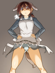 Rule 34 | 1girl, animal ears, apron, brown eyes, brown hair, dog ears, dog tail, gertrud barkhorn, hands on own hips, highres, military, military uniform, panties, sangekimaru, short twintails, solo, strike witches, tail, twintails, underwear, uniform, white panties, world witches series