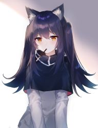 Rule 34 | 1girl, alternate hairstyle, animal ear fluff, animal ears, arknights, black capelet, black hair, blush, brown eyes, capelet, commentary, food, food in mouth, grey jacket, hair between eyes, highres, jacket, long hair, long sleeves, looking at viewer, mouth hold, pocky, sidelocks, solo, symbol-only commentary, texas (arknights), twintails, upper body, white background, wolf ears, youlitang