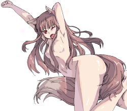 Rule 34 | 00s, 1girl, ;o, animal ears, arm behind head, armpits, brown hair, holo, koma (qqq111), long hair, nipples, nude, one eye closed, red eyes, solo, spice and wolf, tail, wink, wolf ears, wolf tail, yawning
