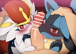 Rule 34 | 1boy, 2girls, @ @, bar censor, blush, breasts, censored, cinderace, cooperative fellatio, creatures (company), dagashi (daga2626), erection, fang, fang out, fellatio, furry, furry female, furry with non-furry, game freak, gen 4 pokemon, gen 8 pokemon, head grab, highres, interspecies, licking, licking penis, looking at viewer, lucario, medium breasts, multiple girls, nintendo, nose blush, oral, penis, pokemon, pokemon (creature), pokephilia, precum, red eyes, sweat, tearing up, tongue, tongue out