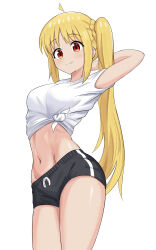 Rule 34 | 1girl, absurdres, ahoge, arm behind back, black shorts, blonde hair, bocchi the rock!, breasts, commentary, cowboy shot, detached ahoge, english commentary, highres, ijichi nijika, kurofuro, long hair, looking at viewer, medium breasts, navel, red eyes, shirt, short sleeves, shorts, side ponytail, smile, solo, standing, stomach, thighs, tied shirt, toned, white background, white shirt