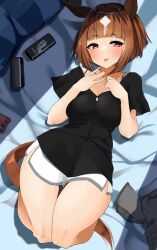 Rule 34 | 1girl, alternate costume, animal ears, bed, black shirt, blush, breasts, brown hair, cleavage, commentary request, dolphin shorts, highres, horse ears, horse girl, horse tail, komb, large breasts, looking at viewer, lying, multicolored hair, on back, on bed, red eyes, shirt, short hair, short sleeves, shorts, smile, solo, streaked hair, tail, tongue, tongue out, transcend (umamusume), umamusume, white hair, white shorts