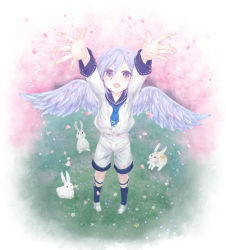 Rule 34 | 1boy, :d, angel wings, arms up, black socks, blue neckerchief, blue sailor collar, blush, carry me, cherry blossoms, commentary request, daisy, feathered wings, flower, foreshortening, from above, grass, hair between eyes, highres, long sleeves, looking at viewer, male focus, neckerchief, open mouth, original, petals, purple eyes, rabbit, sailor collar, shirt, shorts, silver hair, smile, socks, solo, standing, white footwear, white shirt, white shorts, wings, yanagino saho