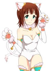 Rule 34 | 1girl, amami haruka, animal costume, animal ears, animal hands, bell, brown hair, cat costume, cat ears, cat tail, collar, elbow gloves, gloves, green eyes, idolmaster, idolmaster (classic), koiwai ringo, looking at viewer, neck bell, paw gloves, short hair, solo, tail, tail bell, tail ornament, thighhighs