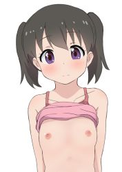 Rule 34 | arms at sides, bare arms, black hair, blush, breasts, camisole, closed mouth, clothes lift, collarbone, expressionless, hair between eyes, hatafuta, kuraue hinata, looking at viewer, nipples, pink camisole, purple eyes, shirt lift, simple background, small breasts, twintails, white background, yama no susume