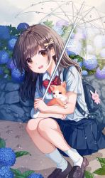 Rule 34 | 1girl, absurdres, animal, backpack, bag, blue skirt, blush, bow, bowtie, brown eyes, brown footwear, brown hair, cat, flower, hair ornament, hair ribbon, highres, holding, holding animal, holding cat, holding umbrella, hydrangea, leaf, legs together, loafers, long hair, looking at viewer, nanna (heyj2888), open mouth, original, plant, pleated skirt, rain, red bow, red bowtie, ribbon, school uniform, shirt, shoes, short sleeves, skirt, socks, solo, squatting, umbrella, uniform, water drop, white shirt, white socks