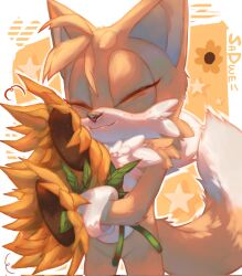 Rule 34 | 1boy, animal ears, animal nose, artist name, closed eyes, closed mouth, commentary, english commentary, flower, fox boy, fox ears, fox tail, furry, furry male, gloves, highres, male focus, multiple tails, orange fur, sadw e, simple background, smile, sonic (series), standing, sunflower, tail, tails (sonic), white gloves