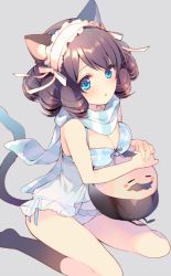 Rule 34 | 10s, 1boy, 1girl, :o, animal ears, arisugawa maple, babydoll, bad id, bad pixiv id, black hair, blue eyes, blue nails, blue panties, blush, bow, bow bra, bra, breasts, cat ears, cat tail, cleavage, curly hair, cyan (show by rock!!), eyebrows, frills, from above, grey background, hair ribbon, hairband, kneehighs, large breasts, looking at viewer, mayachi (amuriya), nail polish, panties, ribbon, ringlets, scarf, see-through, show by rock!!, side-tie panties, simple background, sitting, socks, striped clothes, striped scarf, tail, underwear, underwear only