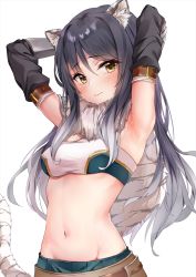 Rule 34 | 1girl, animal ear fluff, animal ears, armpits, arms up, belt, black hair, blush, breasts, capelet, closed mouth, commentary request, detached sleeves, fur capelet, groin, hair between eyes, highres, long hair, looking at viewer, marisasu (marisa0904), medium breasts, navel, princess connect!, revision, shiori (princess connect!), simple background, solo, stomach, strapless, tail, tiger ears, tiger tail, tube top, white background, yellow eyes