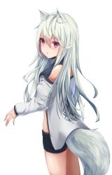 Rule 34 | 1girl, absurdres, animal ear fluff, animal ears, aoinu (aoinu 99), black shorts, blush, cowboy shot, hair between eyes, highres, long hair, looking at viewer, looking back, original, red eyes, short shorts, shorts, simple background, solo, tail, transparent background, white hair
