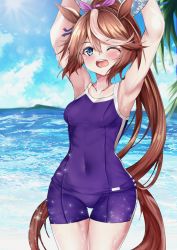 Rule 34 | 1girl, ;d, animal ears, arms up, ball, beachball, blue sky, blush, breasts, brown hair, cloud, collarbone, colored eyelashes, commentary request, covered navel, day, hair ribbon, high ponytail, highres, horse ears, horse girl, horse tail, long hair, multicolored hair, ocean, one-piece swimsuit, one eye closed, open mouth, outdoors, pink ribbon, ponytail, purple one-piece swimsuit, purple sweater, ribbon, setu (shining12), sky, small breasts, smile, solo, streaked hair, sun, sunlight, sweater, swimsuit, tail, teeth, thigh gap, thighs, tokai teio (umamusume), umamusume, upper teeth only, very long hair, water, wide hips