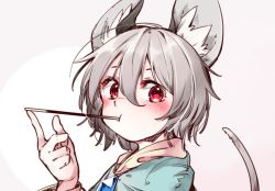 Rule 34 | 1girl, animal ear fluff, animal ears, blue capelet, capelet, commentary request, food, food in mouth, gradient background, grey background, grey hair, hair between eyes, hand up, jewelry, kibayashi kimori, looking at viewer, mouse ears, mouse tail, mouth hold, nazrin, one-hour drawing challenge, pendant, pocky, portrait, red eyes, short hair, simple background, solo, tail, touhou
