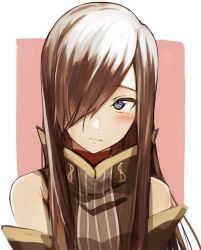Rule 34 | 1girl, bad id, bad twitter id, blue eyes, blush, brown hair, closed mouth, detached sleeves, hair over one eye, long hair, looking away, portrait, rourou ill, solo, straight hair, tales of (series), tales of the abyss, tear grants