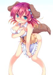 Rule 34 | 10s, 1girl, angry, animal ears, apron, aqua eyes, ass, bare shoulders, barefoot, blush, bottomless, breasts, cleavage, covering privates, covering crotch, detached collar, dog ears, dog tail, embarrassed, flower, gradient hair, hair flower, hair ornament, leaning forward, looking at viewer, mokoke, multicolored hair, no game no life, no panties, red hair, short hair, simple background, solo, standing, stephanie dora, tail, tears, wavy mouth, white background