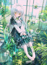 Rule 34 | 1girl, absurdres, blush, bow, chen bin, closed mouth, full body, green eyes, green skirt, greenhouse, hair between eyes, hair bow, has bad revision, has downscaled revision, highres, indoors, layered sleeves, long hair, long sleeves, looking at viewer, md5 mismatch, no shoes, original, pantyhose, plant, resolution mismatch, short over long sleeves, short sleeves, sitting, skirt, solo, source smaller, v arms, very long hair, white hair, white pantyhose