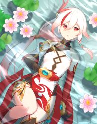 Rule 34 | 1girl, black gloves, breasts, deltafervent, elbow gloves, feet out of frame, flower, from above, fu hua, fu hua (phoenix), gloves, hair between eyes, highres, honkai (series), honkai impact 3rd, jewelry, leaf, lily pad, long hair, looking at viewer, looking up, multicolored hair, partially submerged, pink flower, ponytail, red eyes, red gloves, red hair, small breasts, streaked hair, very long hair, water, water lily flower, white hair