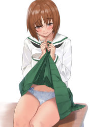 Rule 34 | 1girl, black neckerchief, blouse, blue panties, blush, bow, bow panties, brown eyes, closed mouth, commentary request, desk, frown, girls und panzer, green skirt, half-closed eyes, hami dmg, lifted by self, light brown hair, long sleeves, miniskirt, neckerchief, nishizumi miho, on desk, ooarai school uniform, panties, partial commentary, pleated skirt, print panties, sailor collar, school desk, school uniform, serafuku, shirt, short hair, simple background, sitting, skirt, solo, underwear, white background, white sailor collar, white shirt
