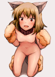 Rule 34 | 1girl, :d, animal ear fluff, animal ears, animal hands, black collar, blush, bob cut, breasts, brown eyes, brown hair, cat ears, cat feet, collar, commentary, from above, full body, highres, idolmaster, idolmaster million live!, kneeling, looking at viewer, looking up, nagayoshi subaru, navel, negija, nipples, nude, open mouth, raised eyebrows, red eyes, short hair, simple background, small breasts, smile, solo, tail, white background