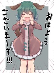 Rule 34 | 1girl, :d, ^ ^, absurdres, animal ears, blush stickers, border, closed eyes, commentary request, dress, emphasis lines, facing viewer, fang, feet out of frame, forneus 0, green hair, grey background, hands up, highres, kasodani kyouko, long sleeves, open mouth, outside border, partial commentary, pink dress, short dress, short hair, simple background, smile, solo, standing, tail, touhou, translation request, white border