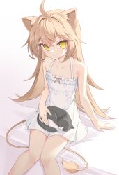 Rule 34 | 1girl, ahoge, animal, animal ears, animal on lap, bare arms, bare shoulders, blonde hair, cat, cat on lap, closed mouth, crossed bangs, dress, feet out of frame, hair between eyes, highres, indie virtual youtuber, knees together feet apart, lion ears, lion girl, lion tail, long hair, looking at viewer, on bed, on lap, petting, quarterlift, rurudo lion, rurudo lion (1st costume), simple background, sitting, smile, solo, tail, very long hair, virtual youtuber, white background, white dress, yellow eyes