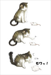 Rule 34 | animal focus, cat, einer (u5c45u7720uno), inemuri uno, mouse (animal), no humans, original, simple background, surprised