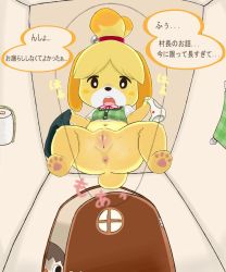 Rule 34 | ..., 1boy, 1girl, animal crossing, animal ears, animal hands, anus, ass, black eyes, black hair, black skirt, blush stickers, bottomless, bow, ceiling, cleft of venus, clitoris, dog ears, dog tail, door, flat chest, from below, furry, highres, holding, holding clothes, holding panties, holding skirt, holding underwear, indoors, isabelle (animal crossing), navel, nintendo, open door, open mouth, panties, pussy, sake kemosalmon, short sleeves, skirt, solo focus, spread legs, squat toilet, squatting, tail, teeth, toilet paper, toilet use, topknot, towel, translation request, uncensored, underwear, unworn panties, unworn skirt, upper teeth only, villager (animal crossing), white panties, white sleeves