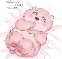Rule 34 | 1boy, aged down, animal ears, baby, bad source, bear boy, bear ears, blush, completely nude, finger sucking, full body, furry, furry male, jambavan (housamo), legs up, lying, male focus, multicolored eyes, nude, on back, pawpads, pink fur, purple eyes, solo, starparlor, thick eyebrows, tokyo houkago summoners, translation request