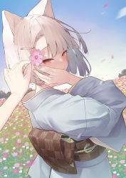 Rule 34 | 1girl, animal ears, arm up, blue kimono, blue sky, blunt bangs, blush, cat ears, commentary request, day, field, fisheye, flower, flower field, from behind, hair flower, hair ornament, hairclip, japanese clothes, kimono, long sleeves, looking at viewer, looking back, mole, mole under eye, obi, original, outdoors, pink flower, pov, red eyes, sash, silver hair, sky, solo, solo focus, tokuno yuika, upper body, wide sleeves