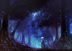 Rule 34 | 1other, axleaki, bug, butterfly, cloak, commentary request, film grain, floating hair, forest, hood, hooded cloak, insect, light particles, long hair, looking at viewer, moonlight, nature, night, original, pointy ears, scenery, sign, solo, sword, tree, twitter username, weapon, wide shot
